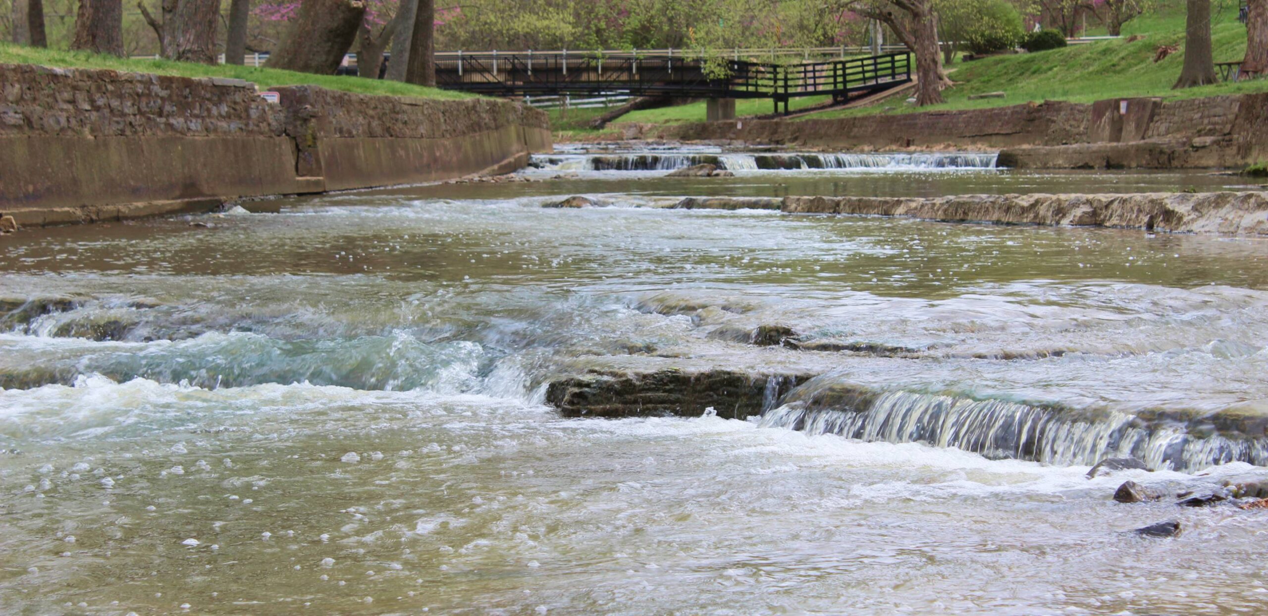 Uncover unique finds and local treasures in Jackson's diverse shopping landscape.