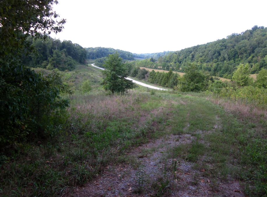 Apple Creek Conservation Area: A Sanctuary for Nature Lovers